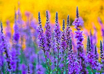 《绝地求生》将更名 8月10日开启免费试玩周活动